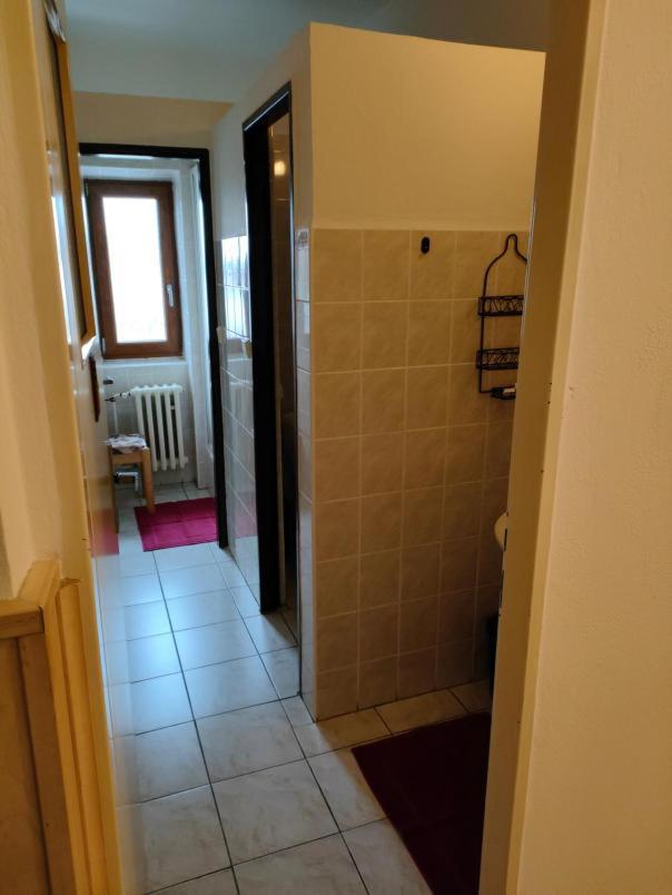 Penzion Sumava - Apartman Horní Planá Dış mekan fotoğraf
